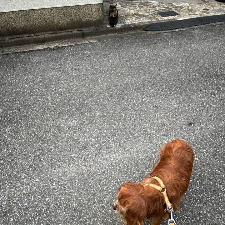 7d29a15a e7cd 494f 8ae2 32de006a4de8 1770854227511