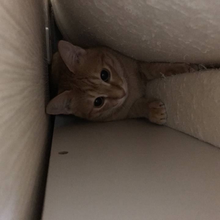 7d29a27c eec9 4c53 812a e89895cc3585 1537870916375