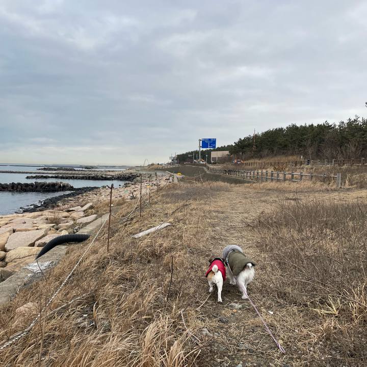 7d29d8c3 bb78 402c 9636 f3c36caeb7cc 1643068232097