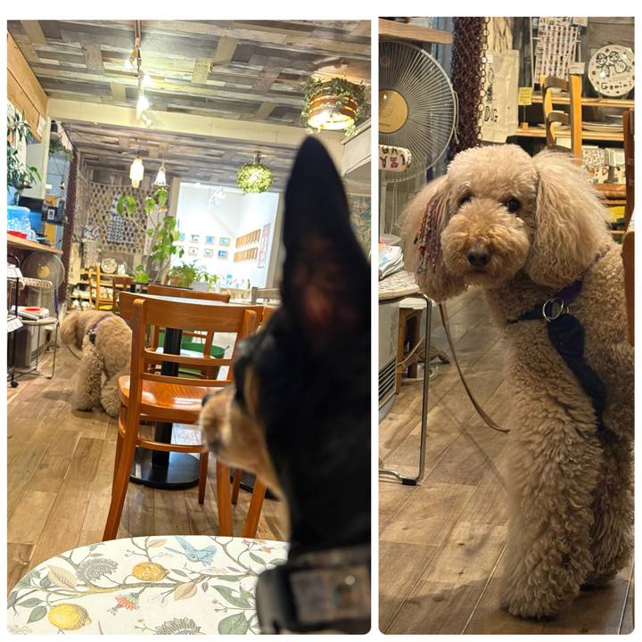 7d29da6a a337 4512 8e0c f1468c8f9117 1770362551128