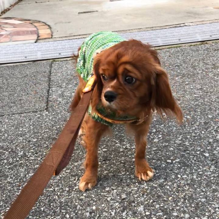 7d29fe7c ae10 4e75 af12 ac5f2e5a5b68 1549797446372