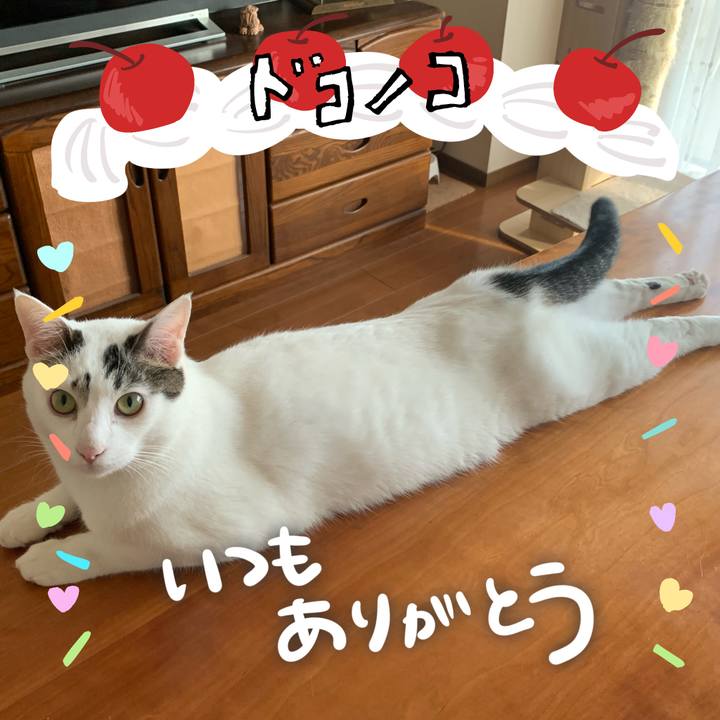 7d2a0e75 814b 4e03 bbfa c998d8929b27 1686010656421