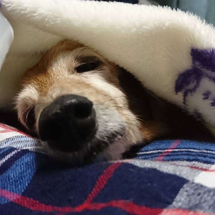 7d2a144f aa09 40f6 a8de 4e306ffd172a 1519008406928