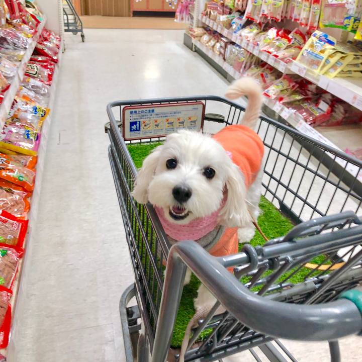 7d2a193f d688 4866 9172 3733963d68ca 1547901483614