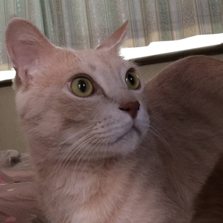 7d2a1db5 8f1c 4842 8839 9a771d962c36 1537085819453