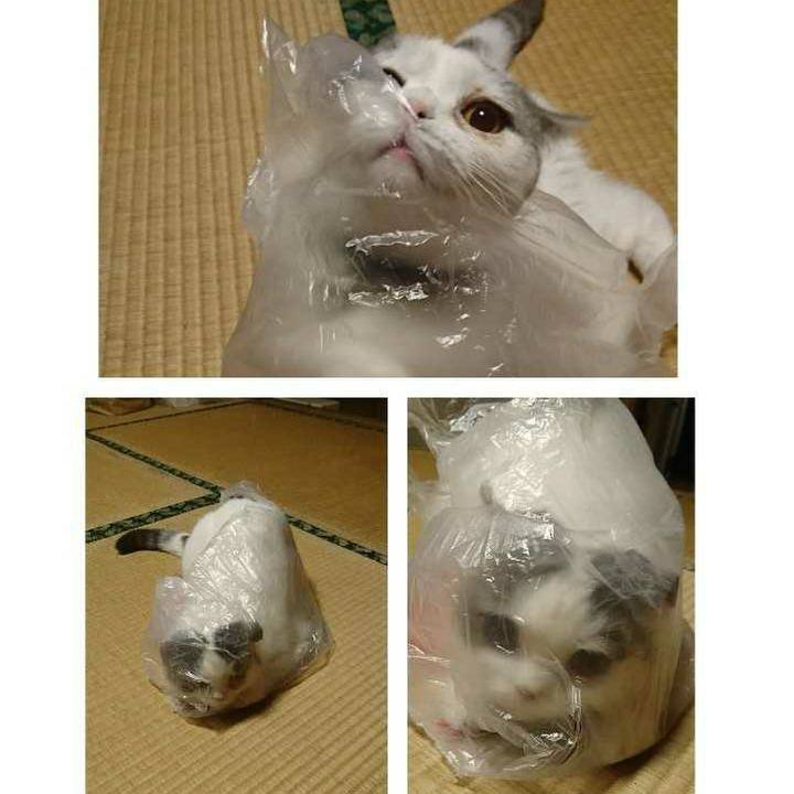 7d2a3f6e 600c 418c a037 57eb32b2ea5f 1559391675361