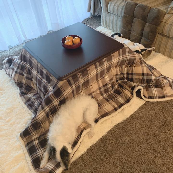 7d2a6881 730e 40fa bbff 780af748f7c5 1607206357496