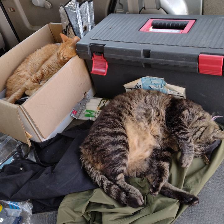 7d2a74f3 3c40 4e36 b85b ea531ff8bdf9 1721468762493