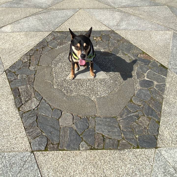 7d2a78e2 2a6b 4766 a32b 1005a5966a46 1615375879660