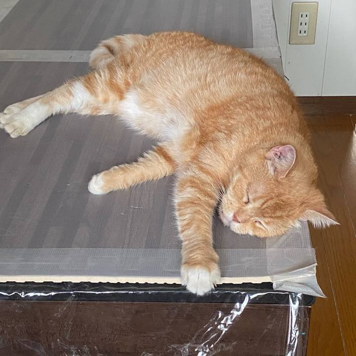 7d2a8153 c235 4222 bdc5 72575954f573 1627822923557