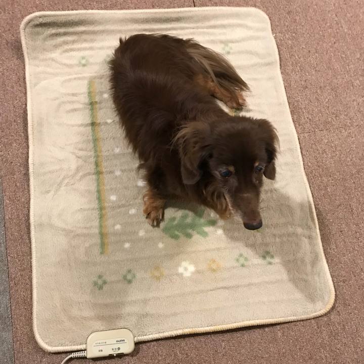 7d2a83b5 afaa 44d0 b0e5 9b7321b03ce5 1508109619489