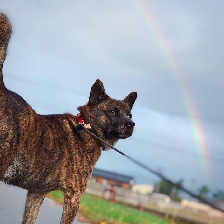 7d2ab4f8 7ae9 4085 bd1f 839e567e78eb 1541112442004