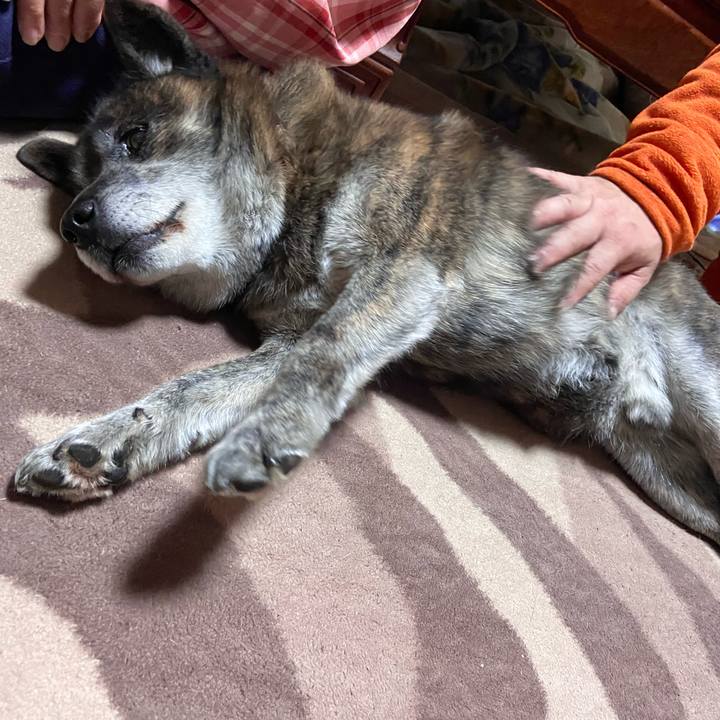 7d2acafc ac77 4fae 8e44 6d88455225e5 1646393404473