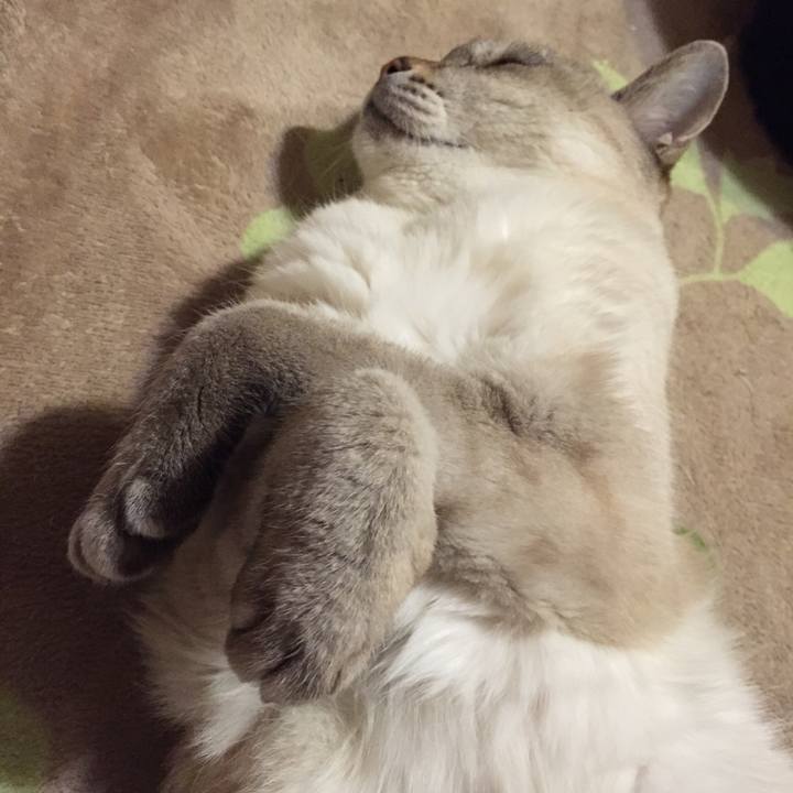 7d2b1626 73fa 4a1d 9719 6514ee740658 1547645536207