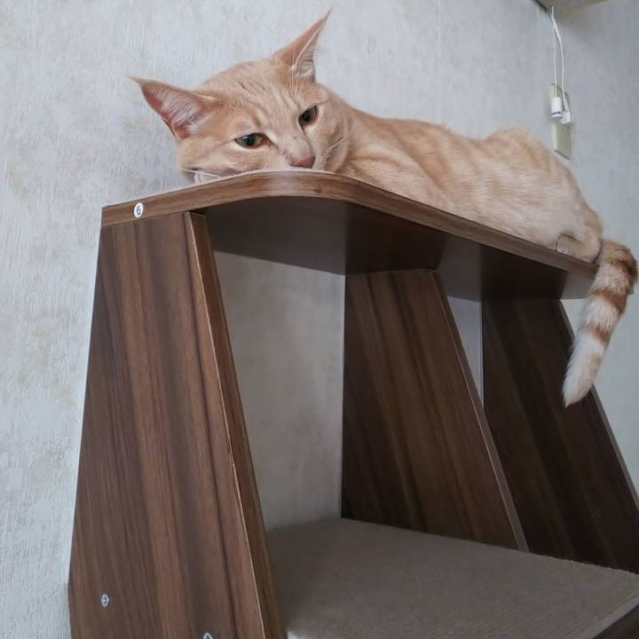 7d2b29e0 c3bd 416b b201 2921420c7fa8 1569878582942