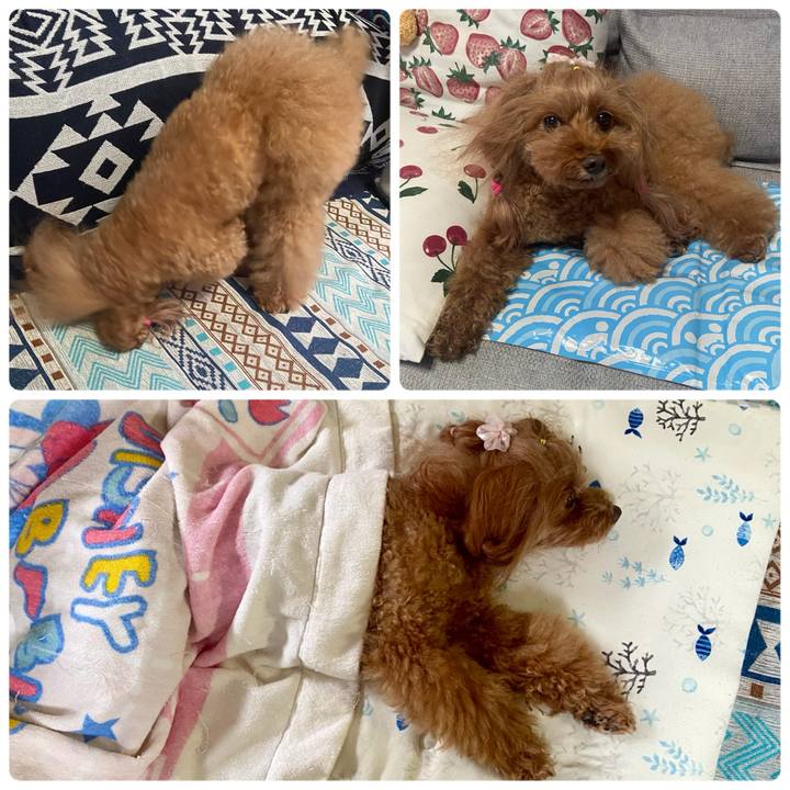 7d2b39b0 3931 4b5c af4d d4b4a2525c11 1757739357690