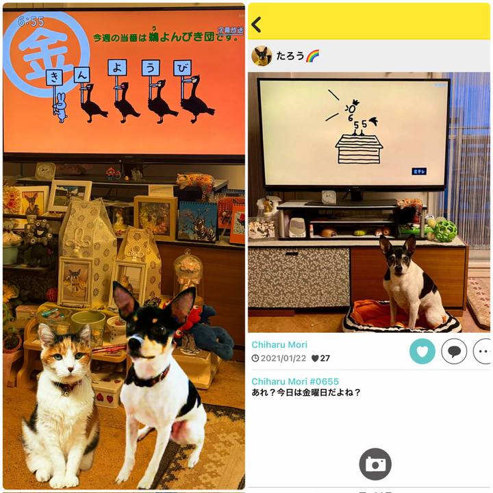 7d2b4a3b 1378 4399 8927 04ce38c45b36 1769119757566