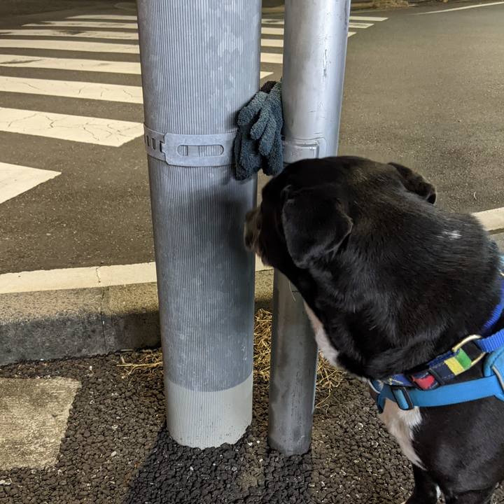 7d2b5267 bee3 4d1f 9eb7 89b0114af8f0 1680606985744