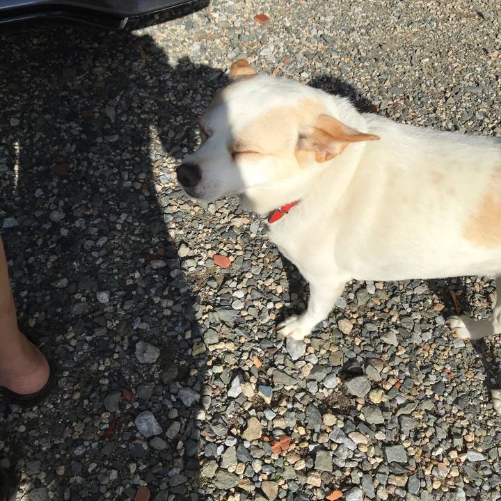 7d2bb2cc adf9 47ea 8d7e 1d8144085760 1597461431951