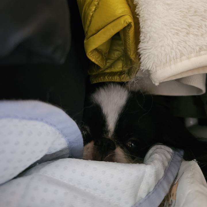 7d2bcccc d4a6 43e6 87dc 8ff7f8bc0a23 1719626729848