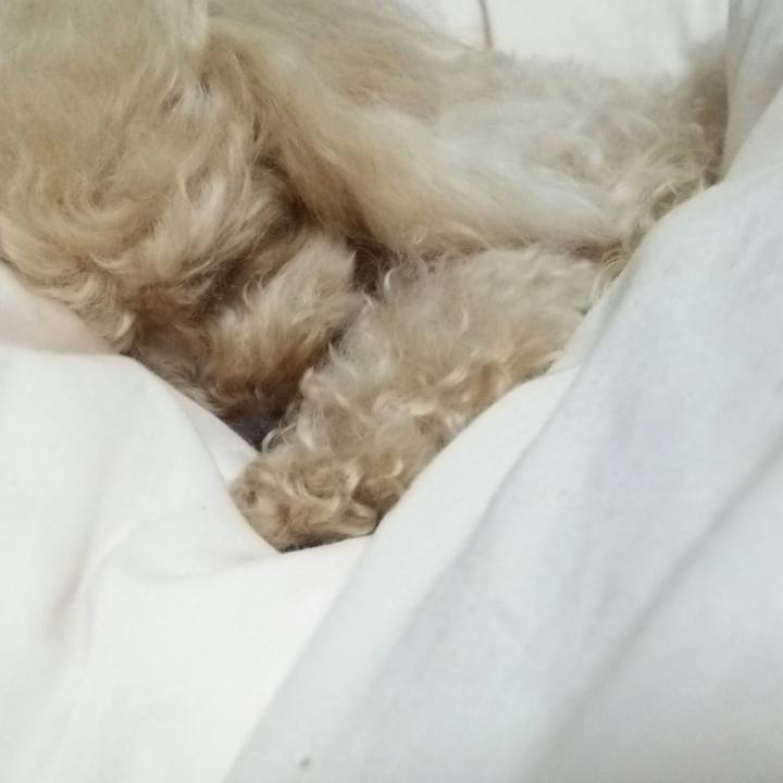 7d2bdba6 d7e7 404c 9765 0551e5742332 1528723111952