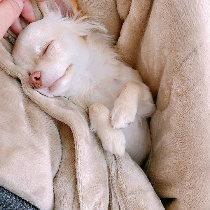 7d2c039f 7a8b 476f 809a 014925e6e383 1611719993865