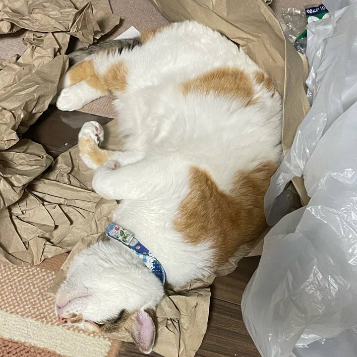 7d2c2785 b345 4fa4 ae78 d7128e0475cb 1714484528752