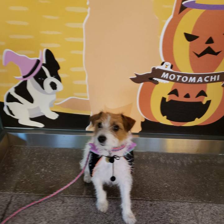 7d2c5acf 77c4 486f bd48 ad3c958fc469 1603616435354