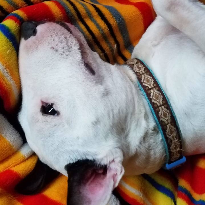 7d2c6ea1 164a 4870 9006 278a9ff17bda 1558336235614