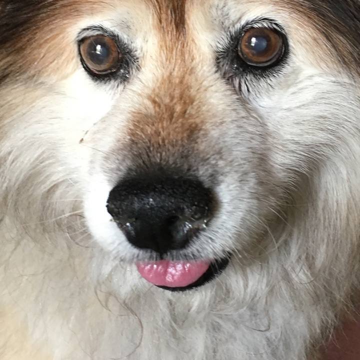 7d2c8761 88d8 4bc7 89b1 859fc853aac2 1603642565563