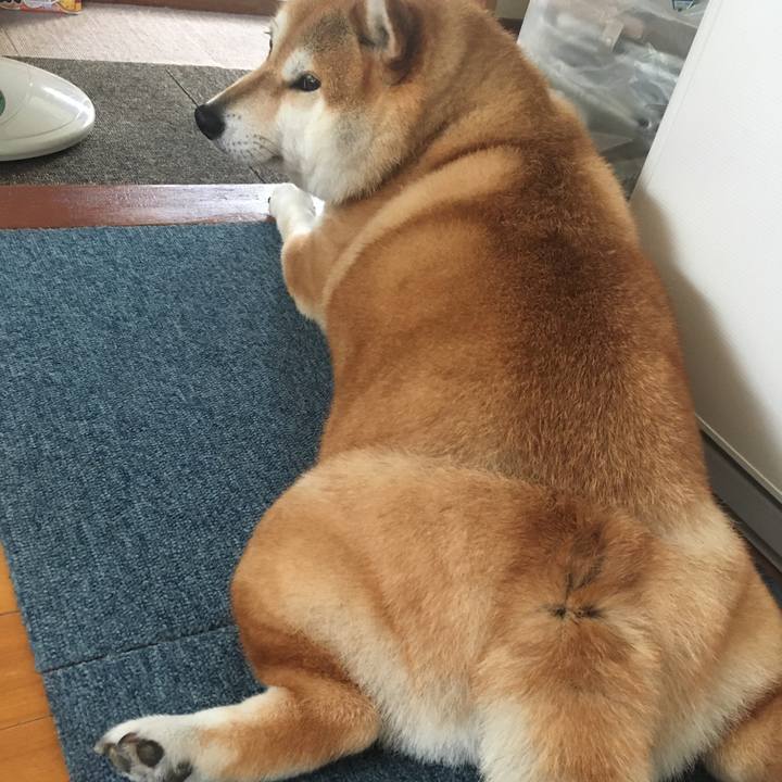 7d2c8d43 8868 4243 8809 a875227e0ff2 1592886537074