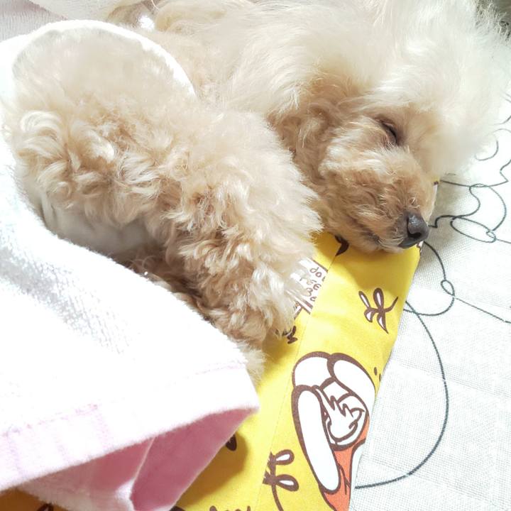 7d2ca9c0 01ff 4c7e b012 925256baee0a 1593821896569