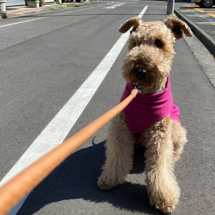 7d2cea32 0c3f 4ec0 a690 726829be04e1 1614483893152