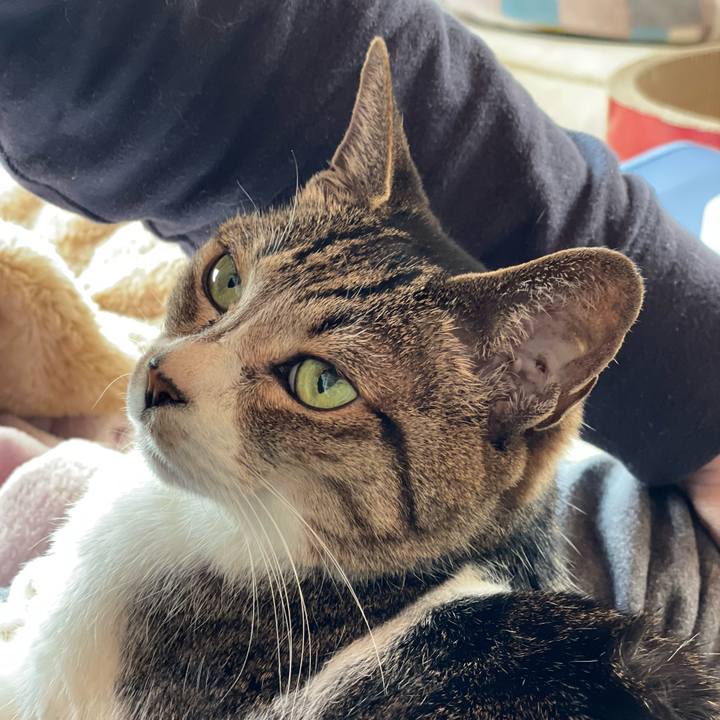 7d2d0c61 f280 469c 9ad5 9da265121f1c 1649296464211