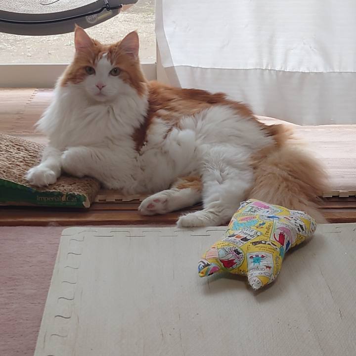 7d2d36d7 da65 47ba 9fef bc5663e106f1 1663202693707