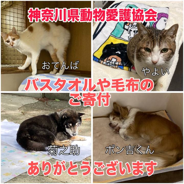 7d2d8cf3 f464 4889 9257 cff1ce1fda61 1716637242237