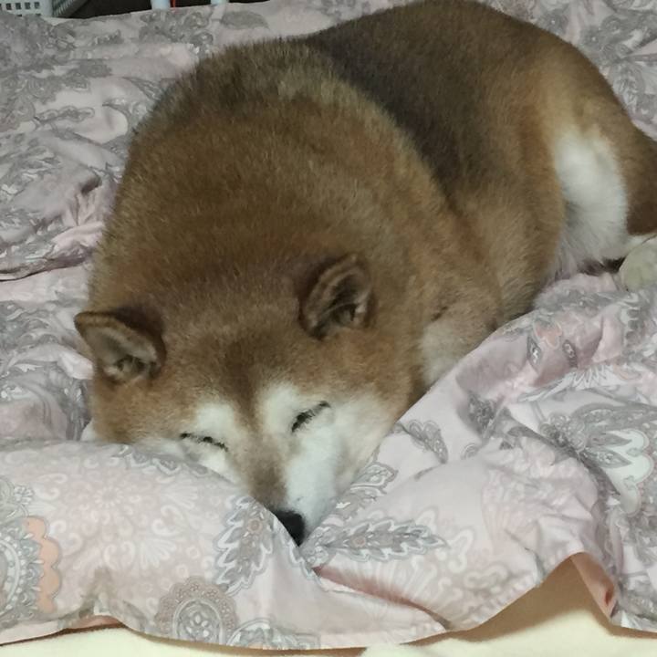 7d2dcb00 a5aa 4343 ab9b 1e7cf3de2158 1537713588788