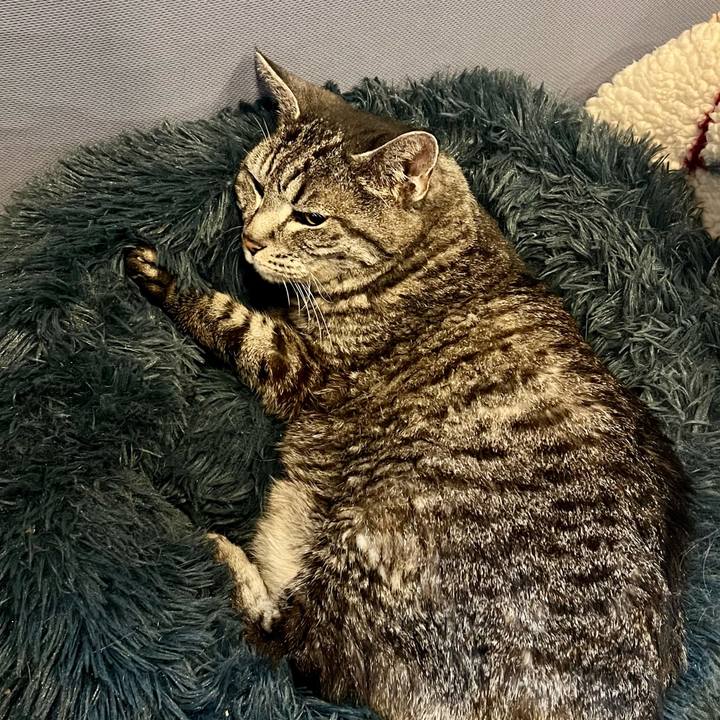 7d2dd880 eaa1 496d b047 4c4dcbd2946b 1761395517628