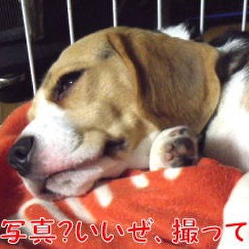 7d2ddb71 cf4d 4230 a1f4 ceee6ebad28e 1696119084811