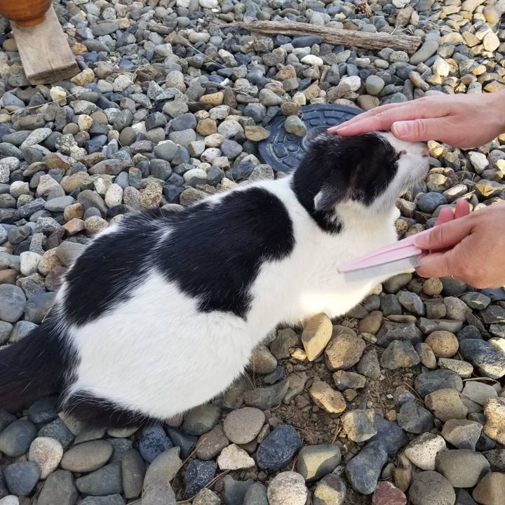 7d2e2188 4735 4f05 b179 1a25ac5d161b 1588429624231