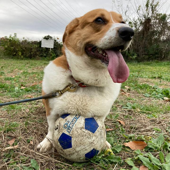 7d2ea7c1 300f 448b acf6 208bafa45e1f 1670548358219