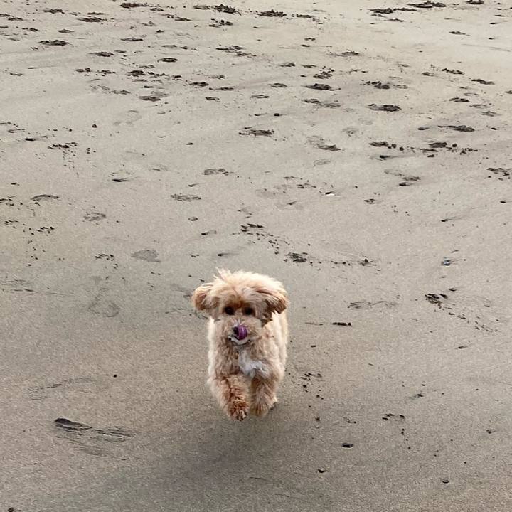 7d2eae31 c0c6 4aae 933a d3f38f5476ac 1655066383315