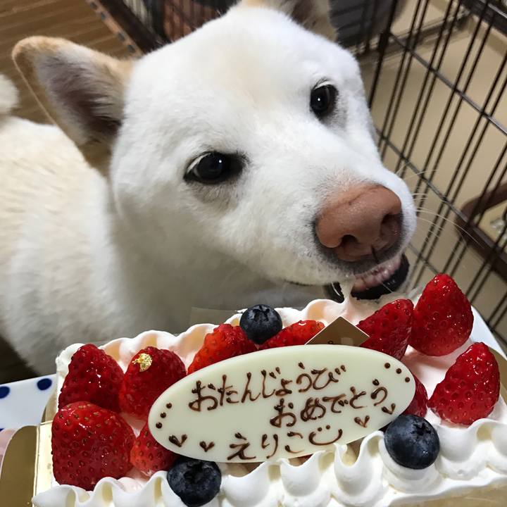 7d2efbf8 0a6a 489d 8f65 2d7a4a9d203d 1517578638829