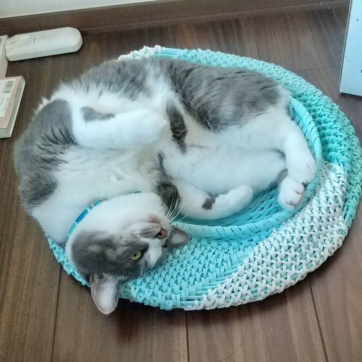 7d2f045e ec35 499a 9cc9 e0f2f091d260 1626741596937