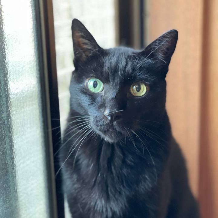 7d2f1287 618a 476c b1c8 6b4fbf83d280 1603676320047