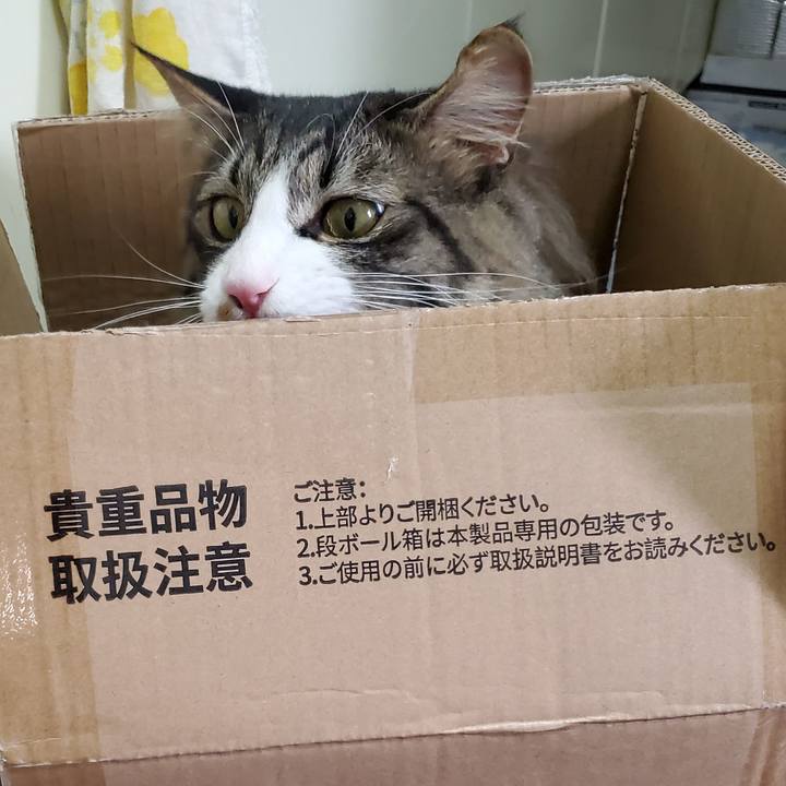 7d2f232e 70d4 4d26 8bc4 f7491d7a5ac0 1683354835703