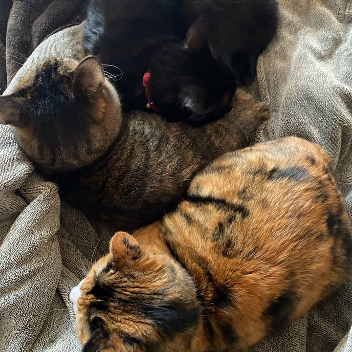 7d2f3a20 9cb2 4ddc 860c ed805cac1440 1604585279769