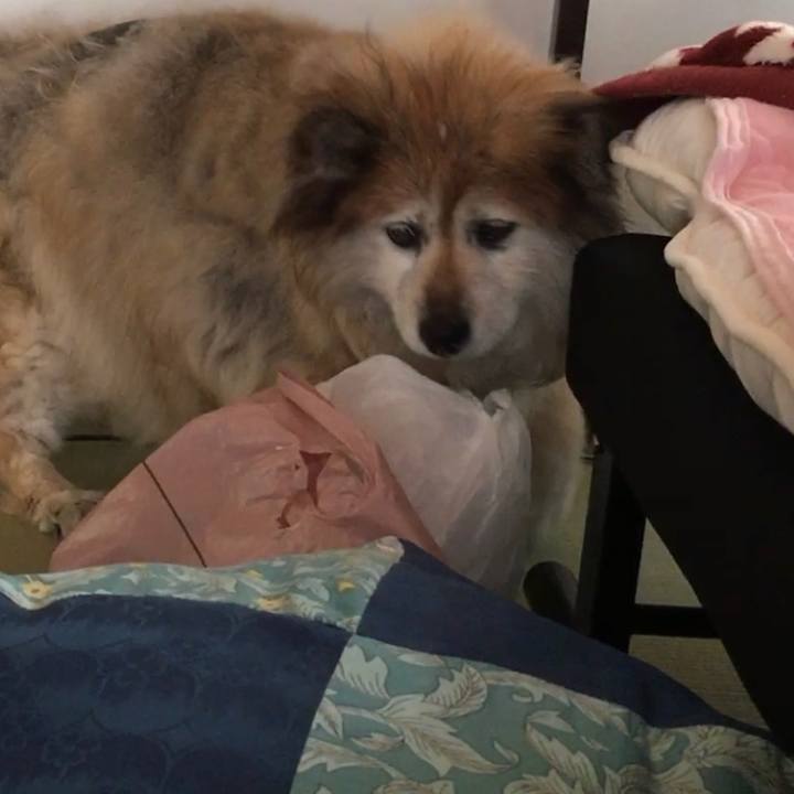 7d2f836a c3d4 428e 8b5f efd341dd856b 1580950458476