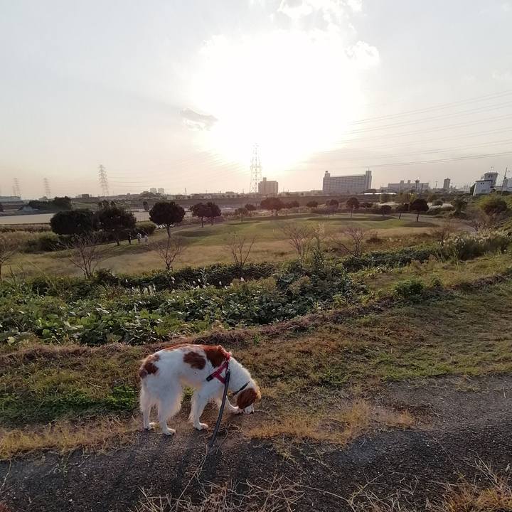 7d2f912a 43c7 49d8 8de9 60c7a0e944d0 1572596447611