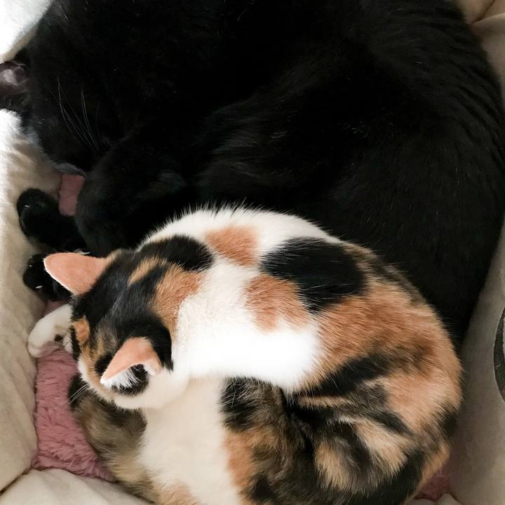 7d2fc0a0 62f2 44a7 a8ea 796339aab03c 1516720252716